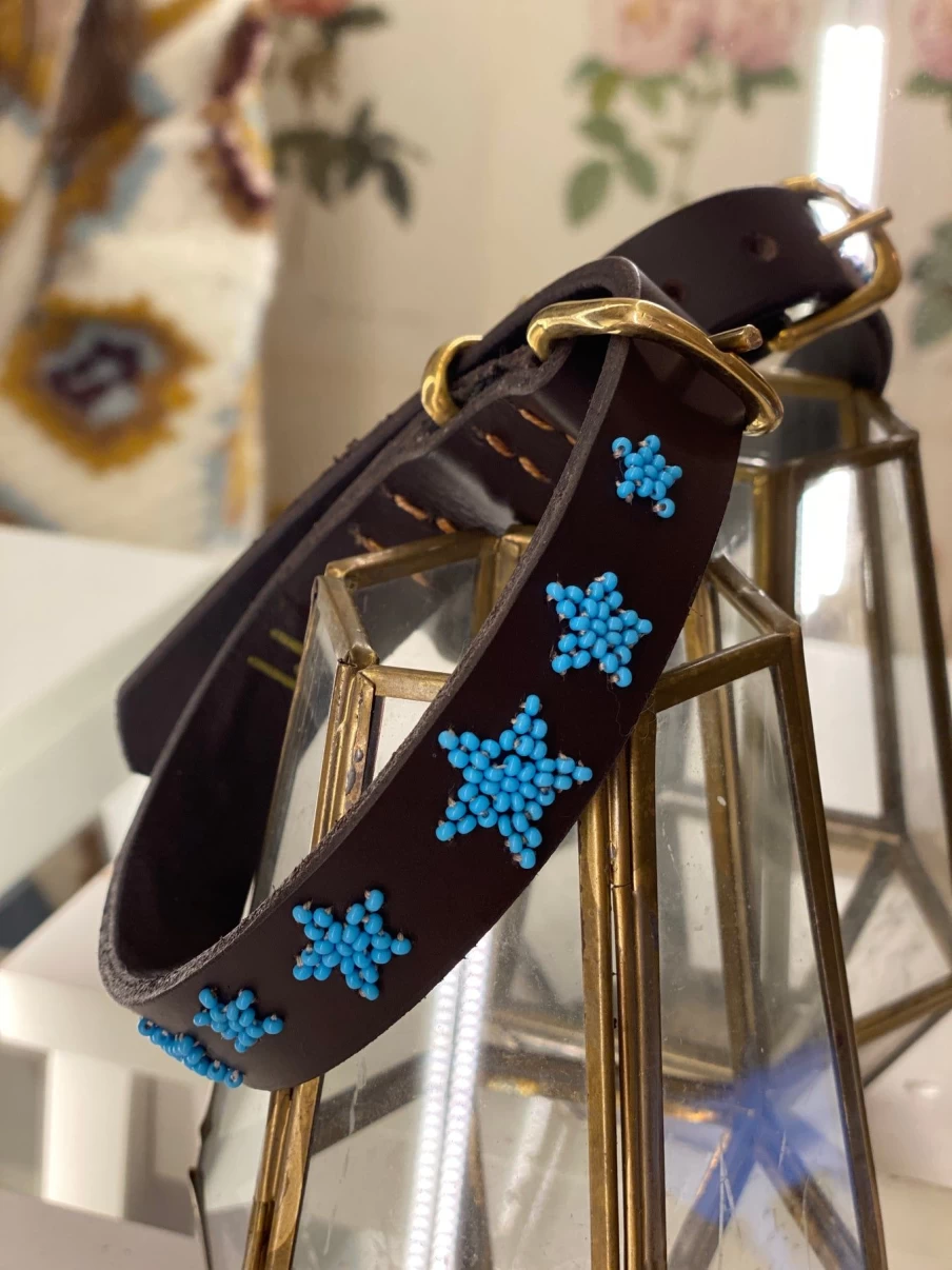 The Jacksons Turquoise Star Pattern Dog Collar - Adjustable Pet Collar for Small Medium Large Dogs